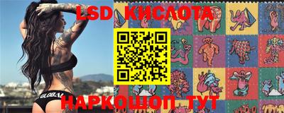 мдпв Волгодонск